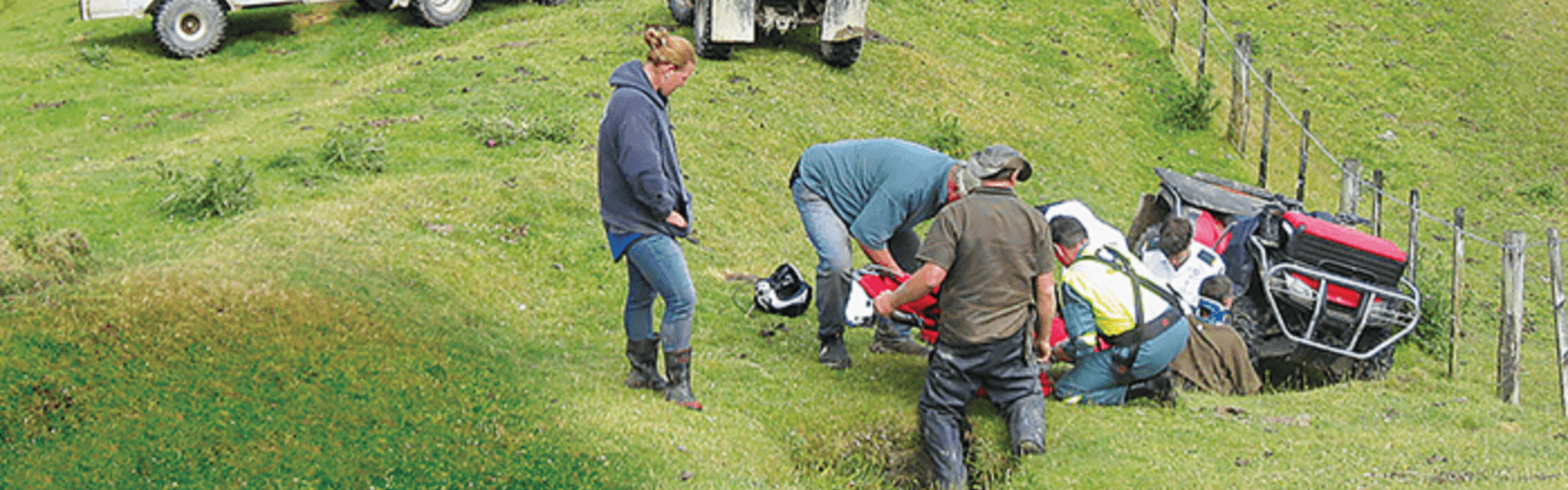 Farm workers administer first aid in a green paddock