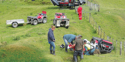 Farm workers administer first aid in a green paddock